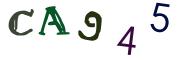 CAPTCHA con immagine