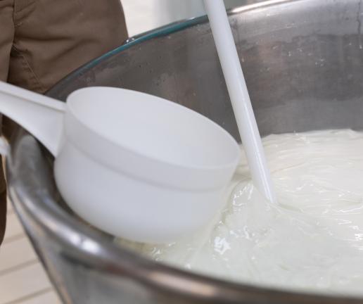 Paestum_Lavorazione_del_latte